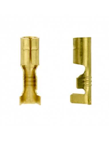 Terminal Brass Bullet 4mm
